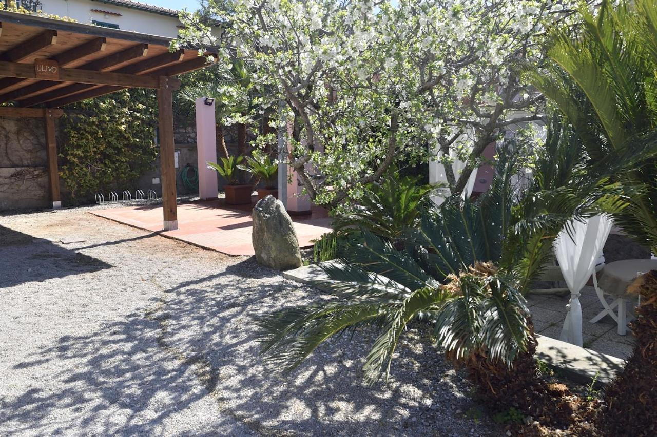 Villa Fiore Apartments بورتوفيرّايو المظهر الخارجي الصورة