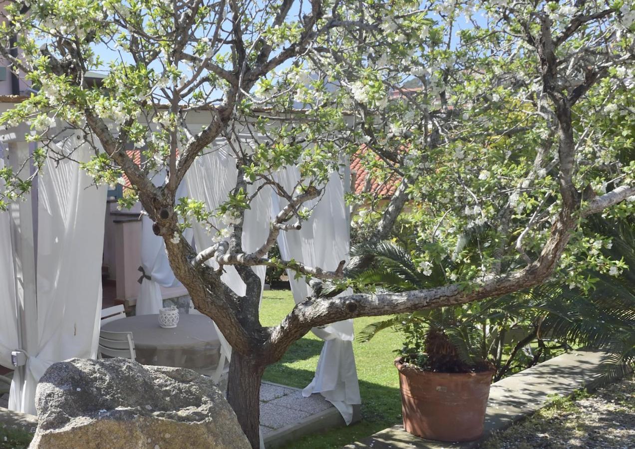 Villa Fiore Apartments بورتوفيرّايو المظهر الخارجي الصورة
