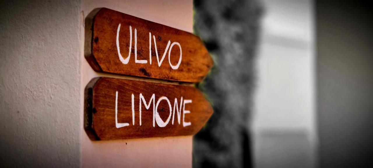 Villa Fiore Apartments بورتوفيرّايو المظهر الخارجي الصورة